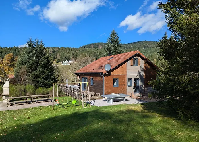 Familial Confortable Avec Spa, Proche Gerardmer Et Station De Ski, Ideal Ete Et Hiver. - Fr-1-589-469 *