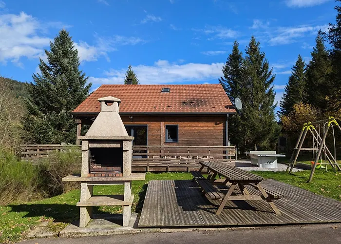 Prázdninový dům Familial Confortable Avec Spa, Proche Gerardmer Et Station De Ski, Ideal Ete Et Hiver. - Fr-1-589-469 *